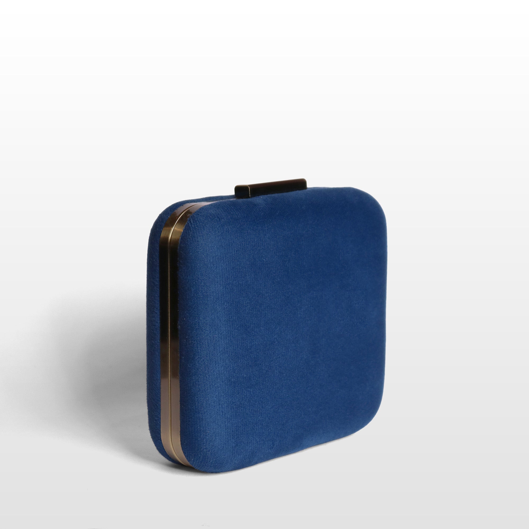 The Hummingbird Reverie Clutch